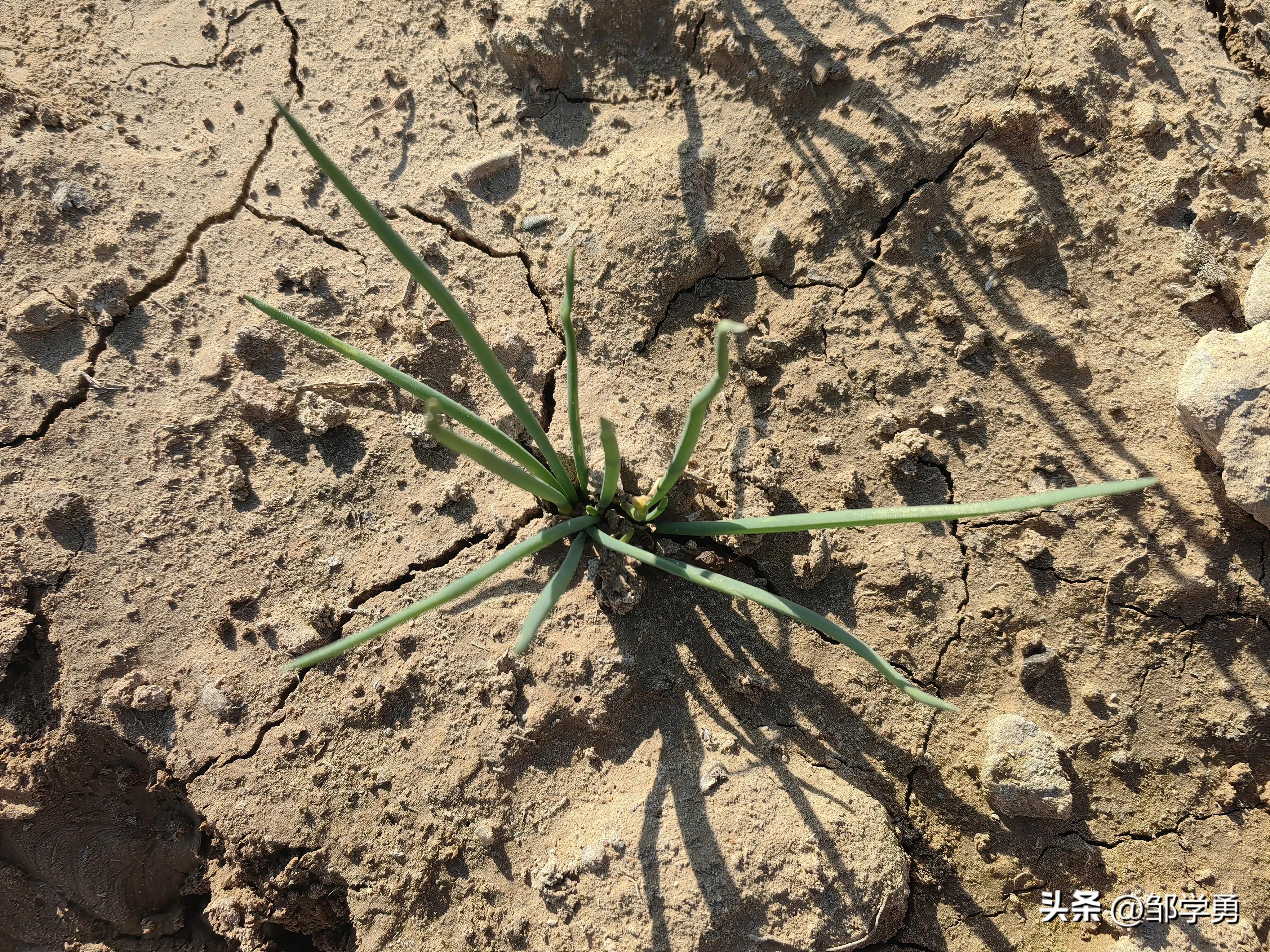 晨跑有悟:当土埋的越多时,你感受到什么?