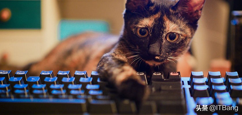 电脑f12键使用教程,电脑键盘上f1至f12的功能键切换