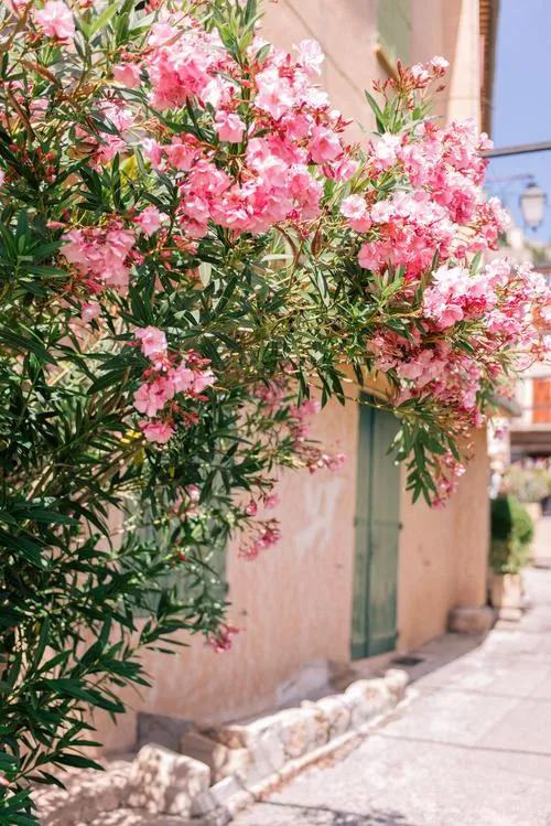 自然而然才是顺其自然,顺其自然随遇而安随性洒脱