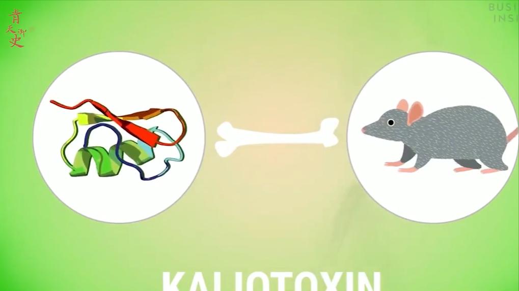 盘点十种神奇动物的价格,盘点五种有巨毒的生物