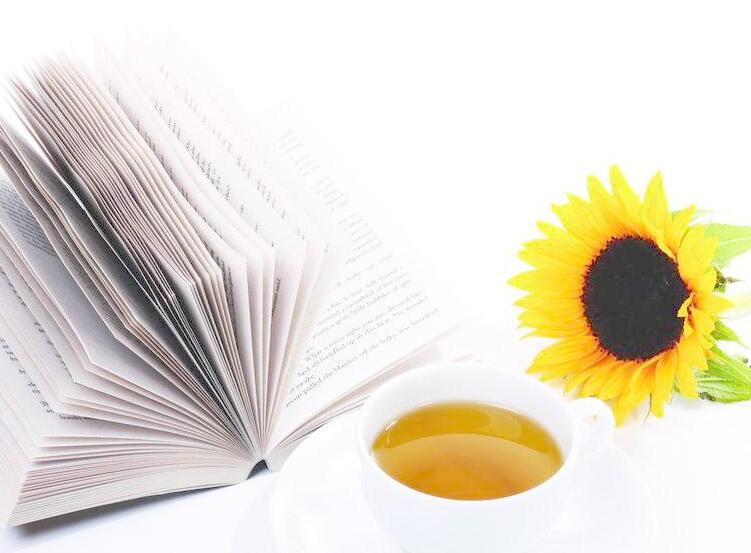 山东建筑大学成人高考临沂函授站,临沂成人高考函授站报名处