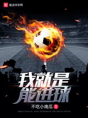 十大公认最好看的足球小说,20本好看的足球小说