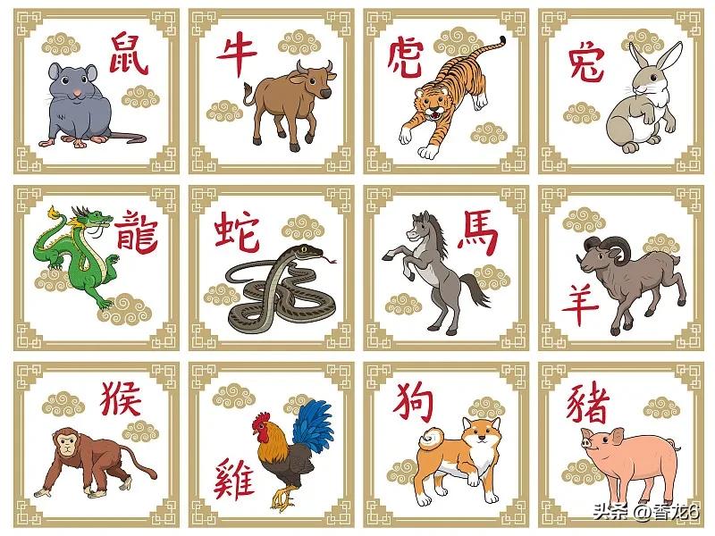 十二生肖评分标准,十二生肖的百科知识