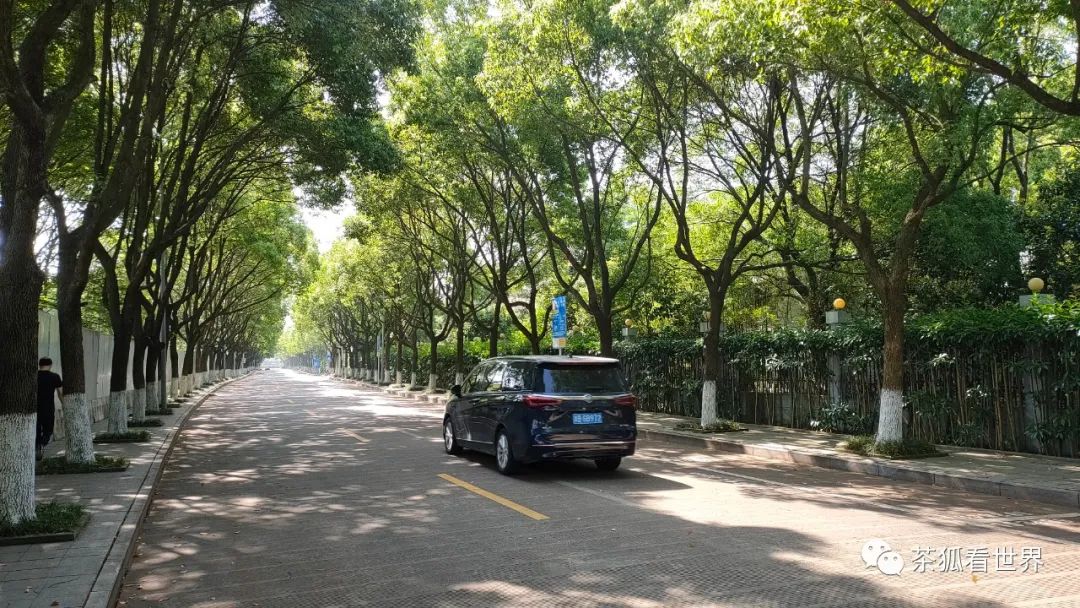 中美两国的生活差别,中美差别最大的地方