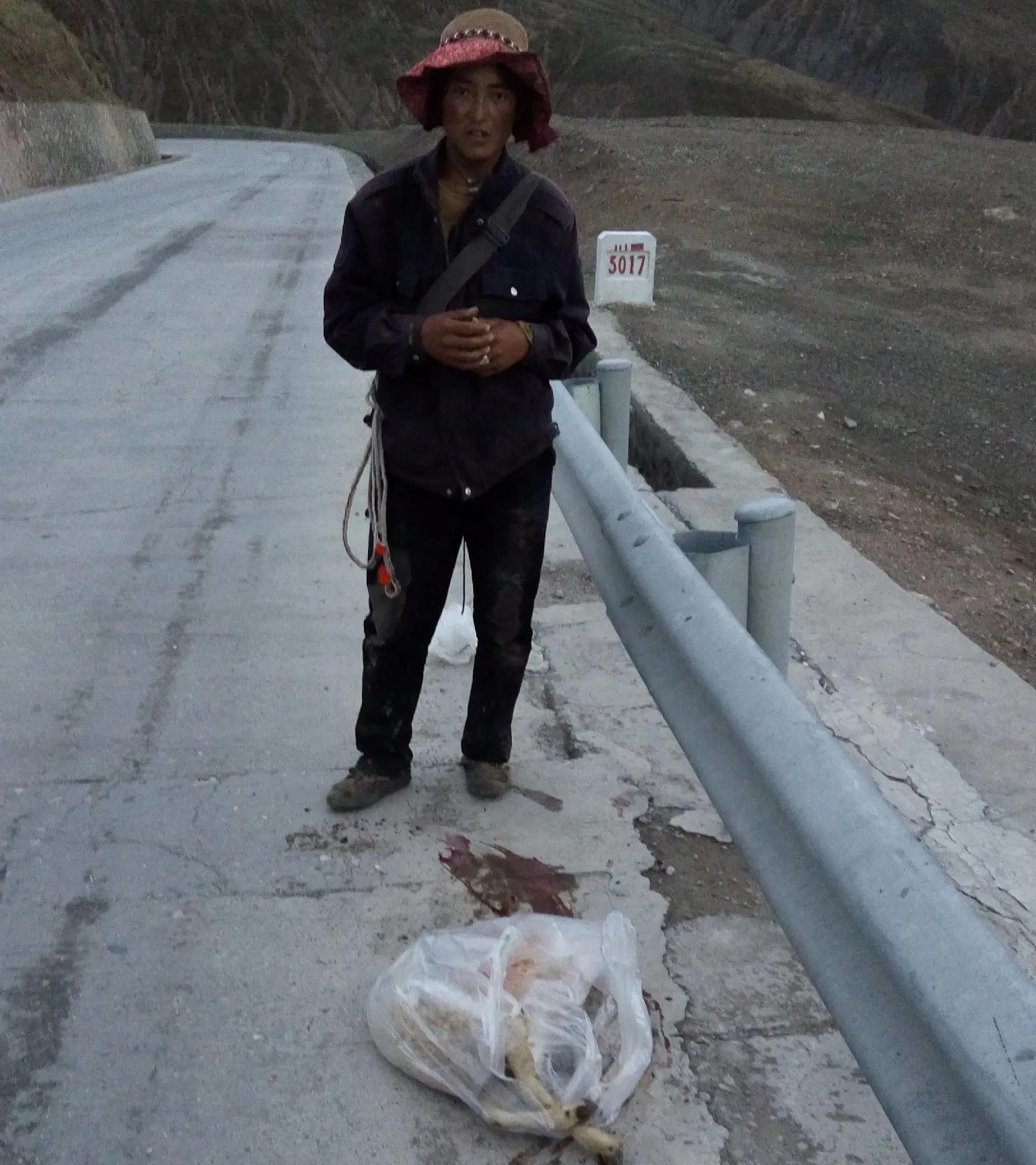 去西藏边旅游边打工,去西藏打工真实感受