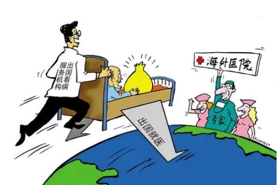出国看病的服务机构哪个最好,出国医疗中介哪家好