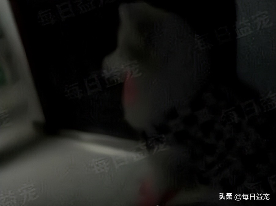 萨摩耶半夜在主人床边吓坏主人,萨摩耶半夜拉屎怎么回事