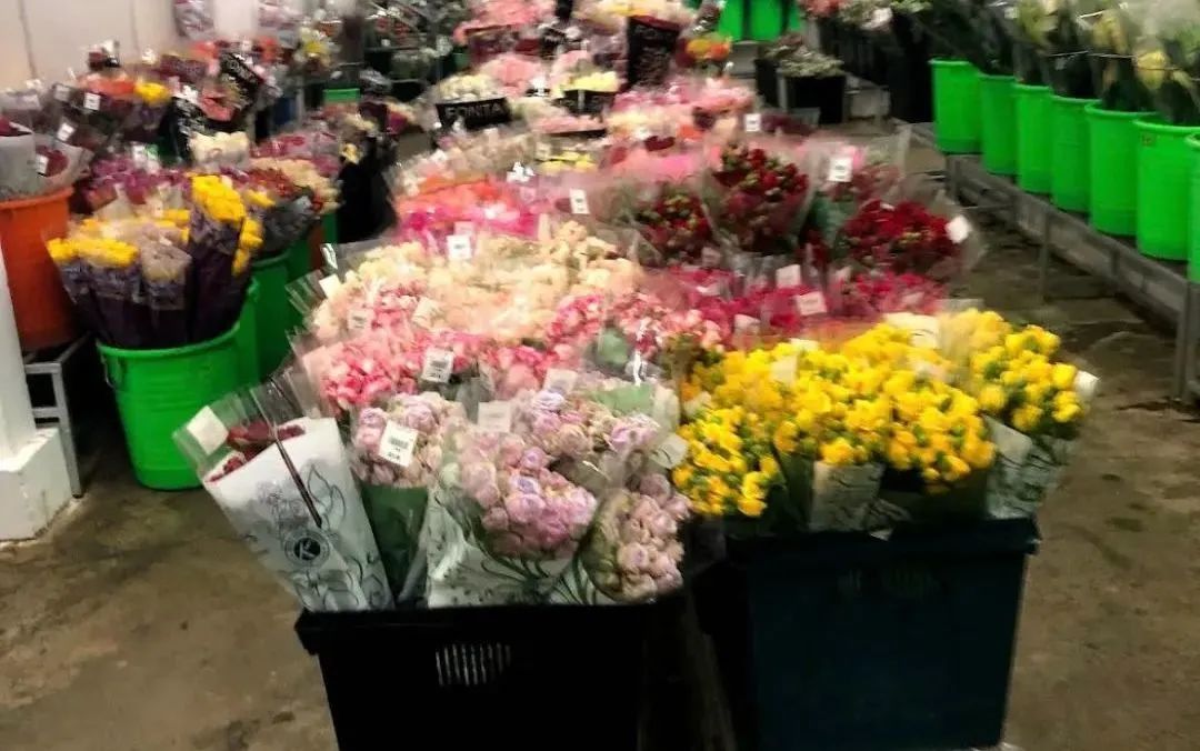 鲜花在水里能养几天会死,新加坡盆栽花卉怎么养