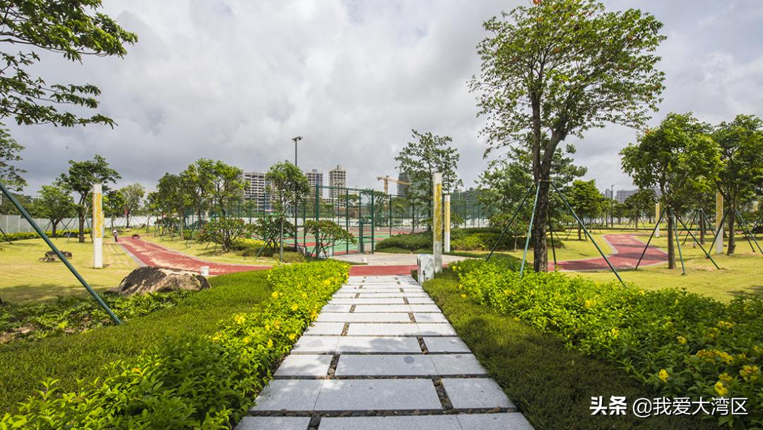 珠海春游赏花,珠海周边踏青景点