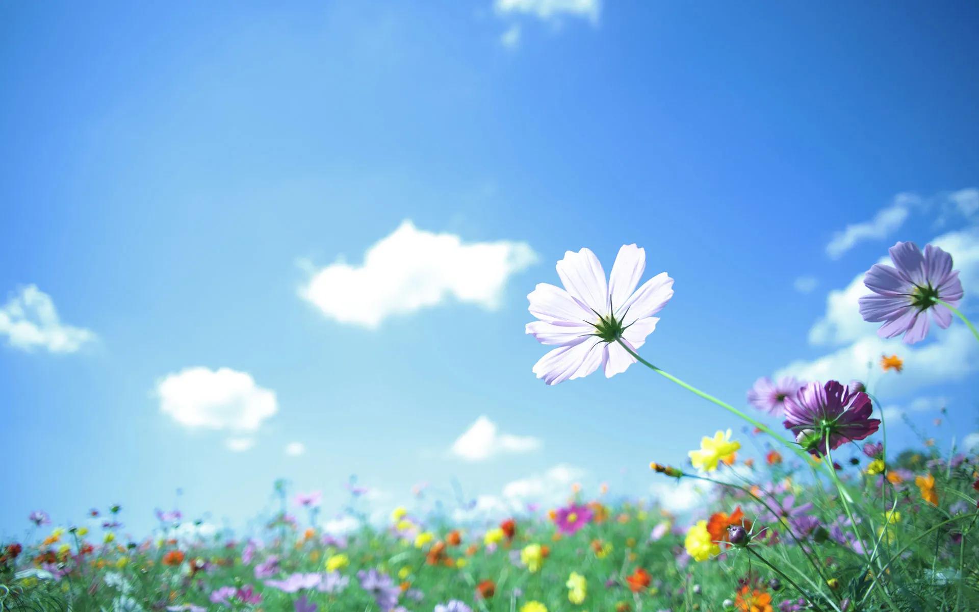 产后经脉恢复，你做了吗？