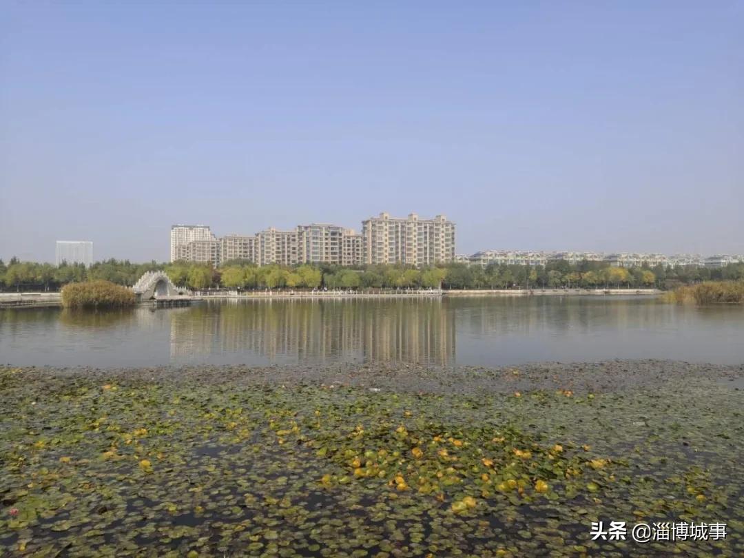 淄博市比较出名的公园,网友发现淄博一处大型荒废景区