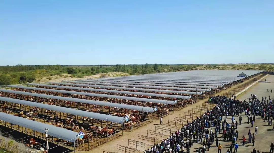 巴胡塔苏木简介,科左后旗巴胡塔