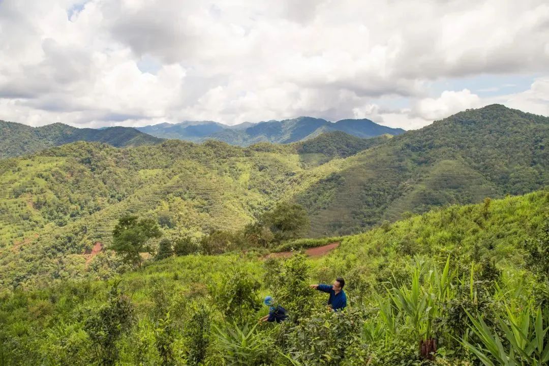 修享茶业钟海勇：以茶行修，打造中国茶文化的独特品牌之路