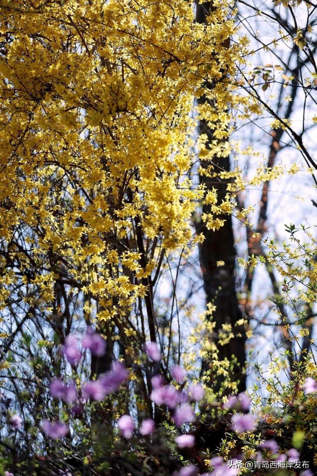 现实版小森林，这些藏在西海岸周边的乡野太治愈