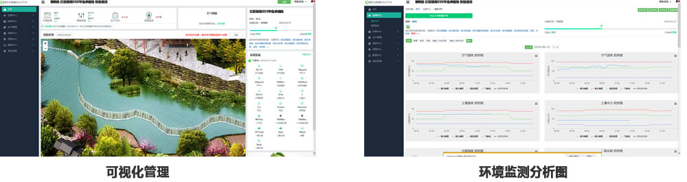 甲鱼怎么养是最好的,养甲鱼技术视频教程