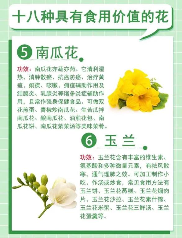 18种最漂亮的花草,18种必养的花