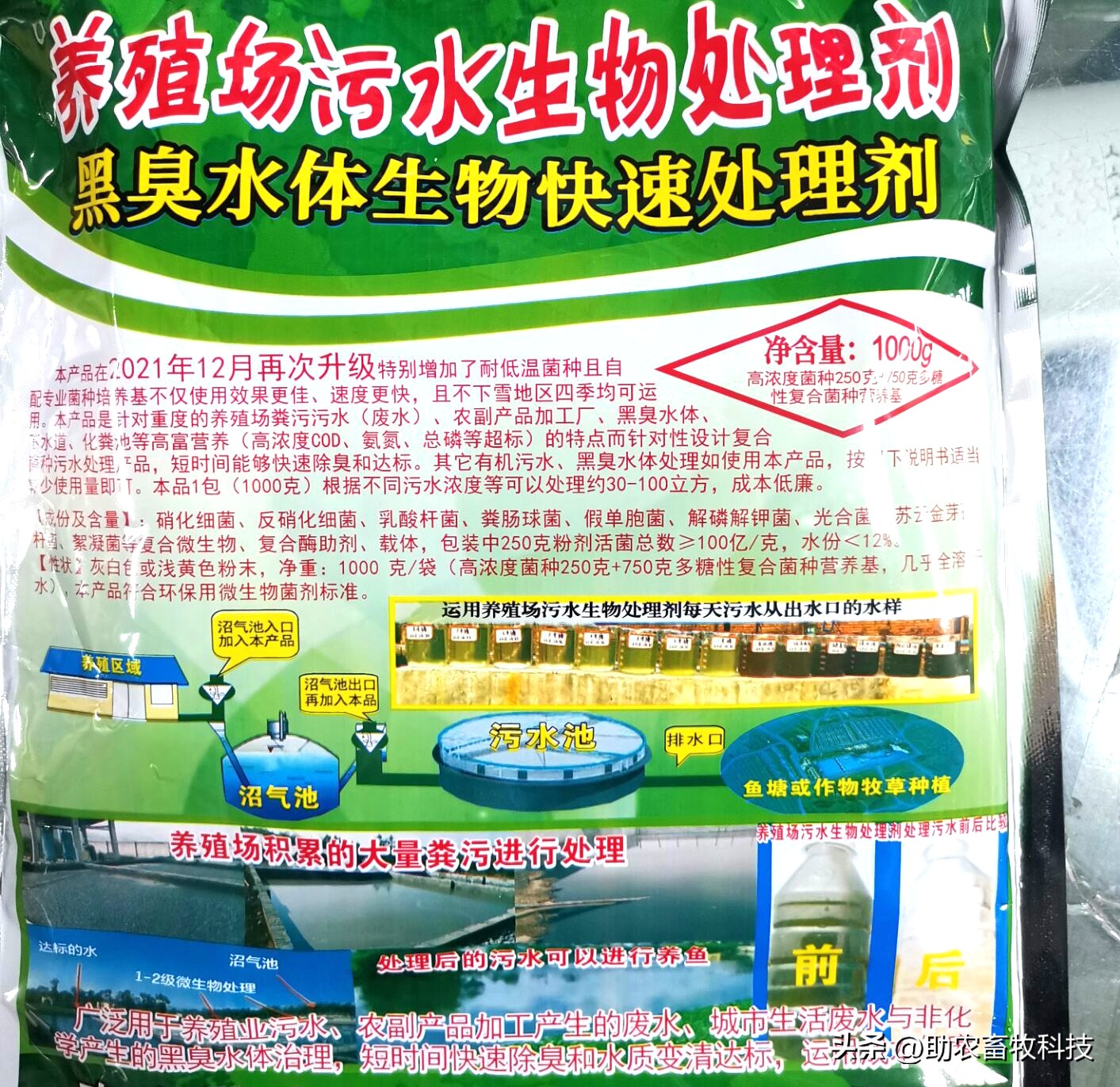 如何用生物技术解决污水处理,污水生物处理各种工艺详解