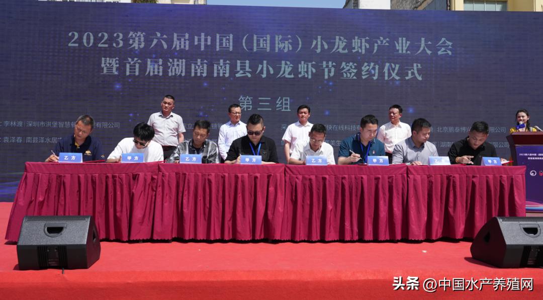 2023年南县小龙虾价格行情,南县小龙虾价格报价