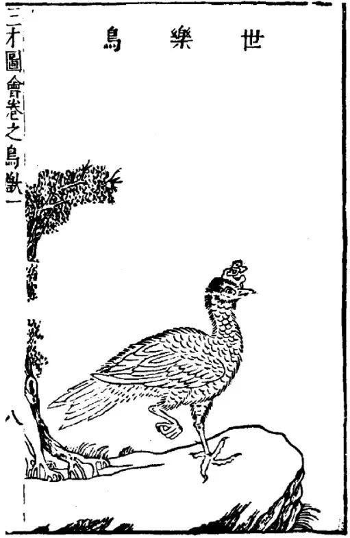 世界都有哪些神奇的动物??「坤舆全图」告诉你