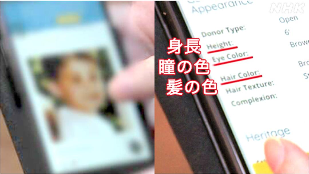 为要二胎，日本少妇网上借精：开房10次得知是中国人，索赔3个亿