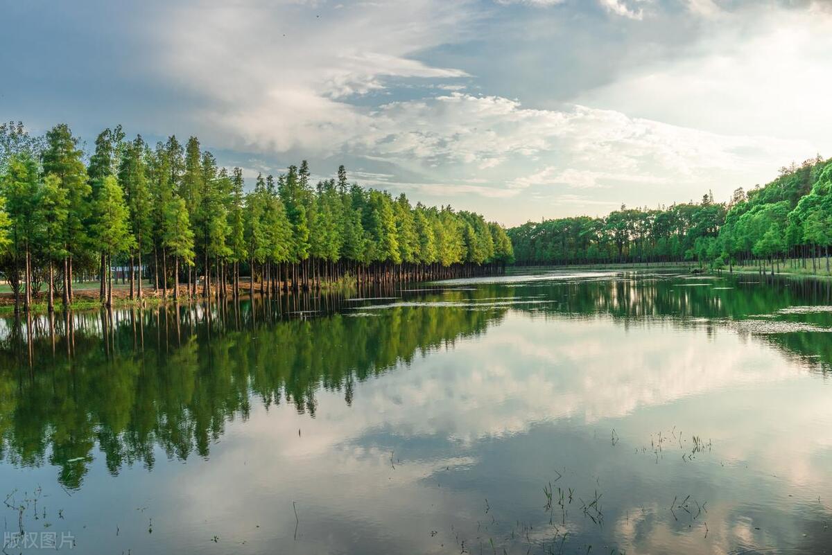 苏州东山十大网红景点,苏州十大诡异景点