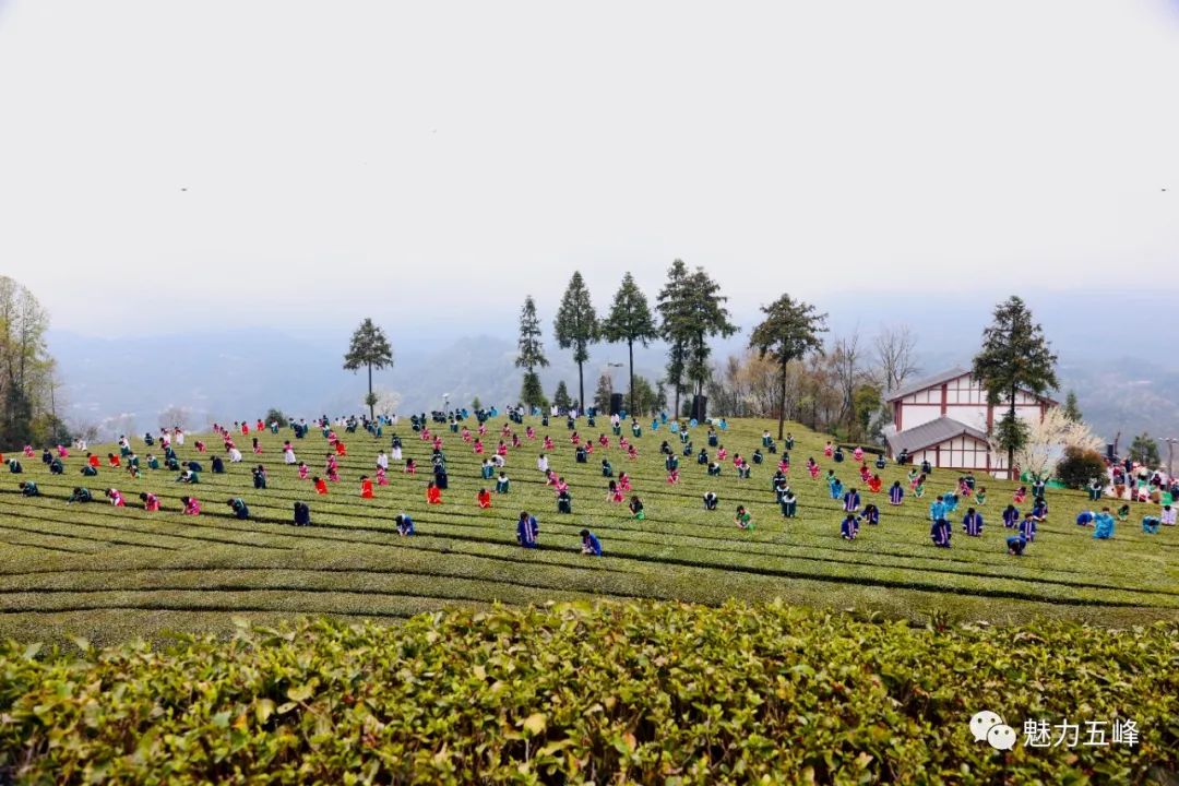 湖北有打算建造航母吗,中国自己造的航母未来规划