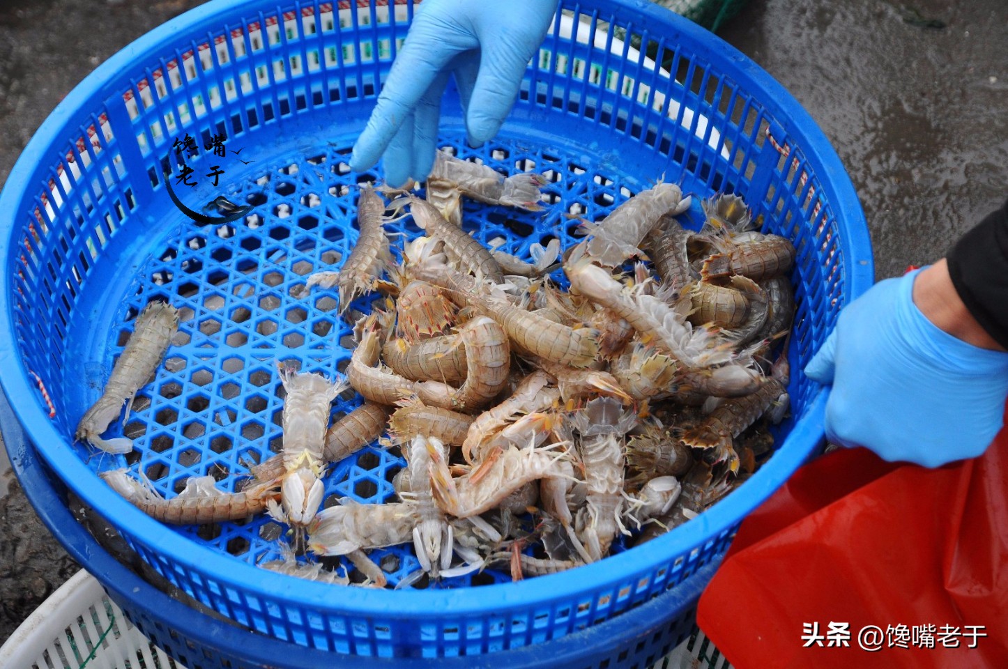 在市场上买皮皮虾怎么看才是新鲜,皮皮虾怎么吃老渔民悄悄告诉你