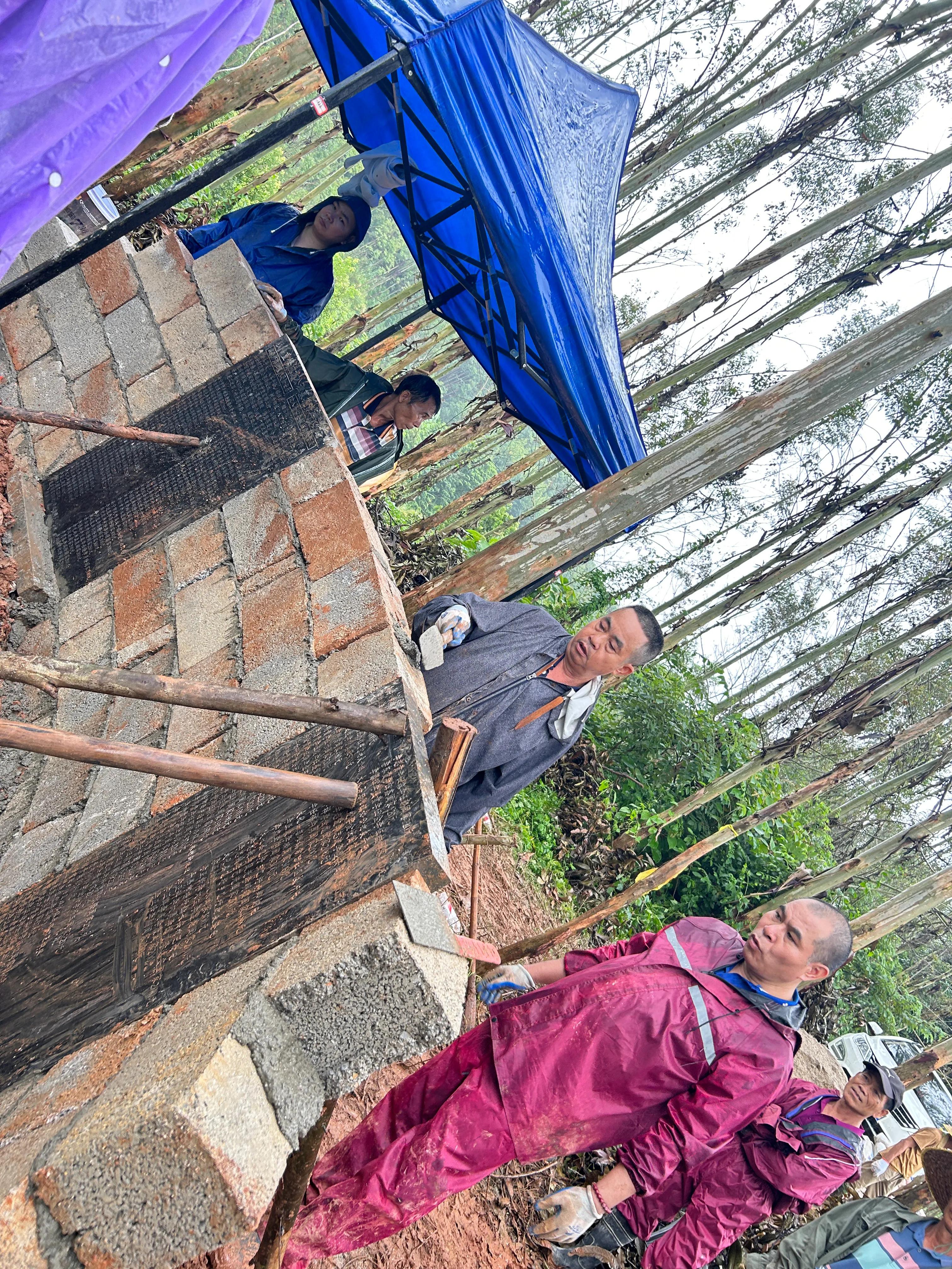 重修应苗公祖墓实录（下）——披荆斩棘凭实干，齐心协力功告成