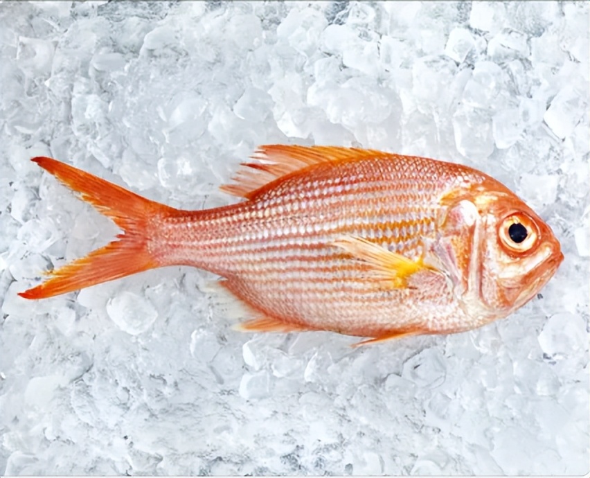 鱼类过敏是终身的吗,鱼类过敏的表现