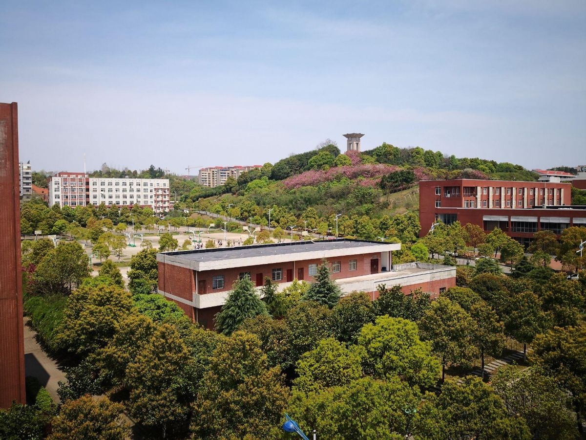 长沙理工大学在全国排名第几,长沙理工大学在湖南高校排名
