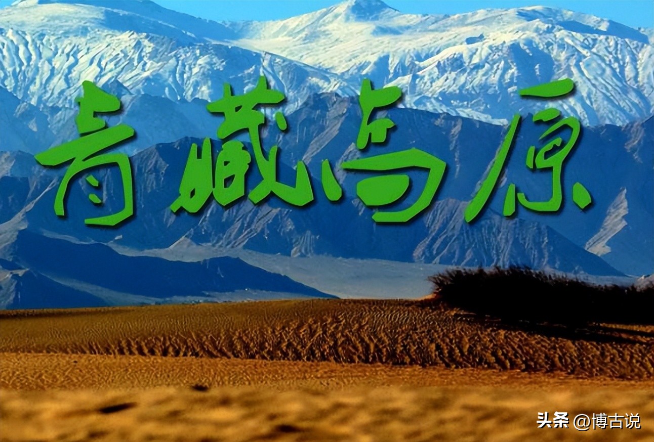 歌手李娜出家真实原因,李娜看破红尘出家唱的一首佛歌