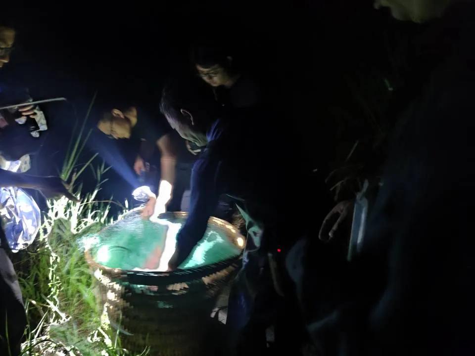 多部门联合打击非法捕鱼执法行动,联合执法持续打击非法捕鱼行为