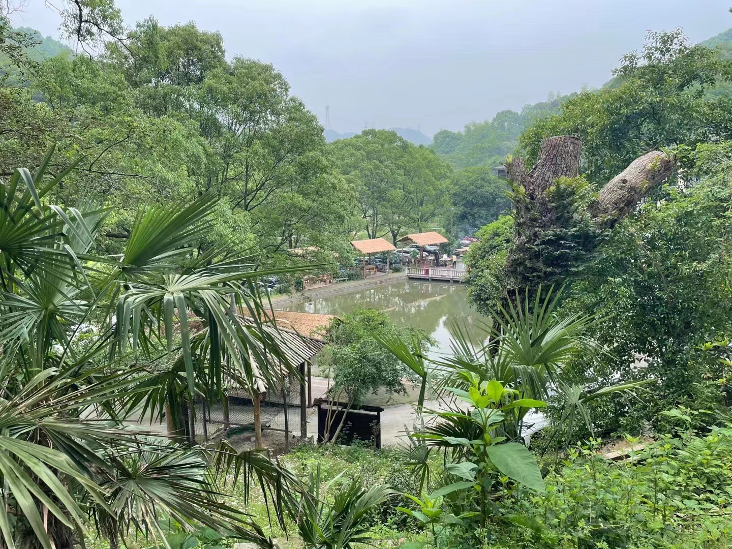石燕湖农家乐一日游推荐,长沙黑麋峰国家森林公园农家乐