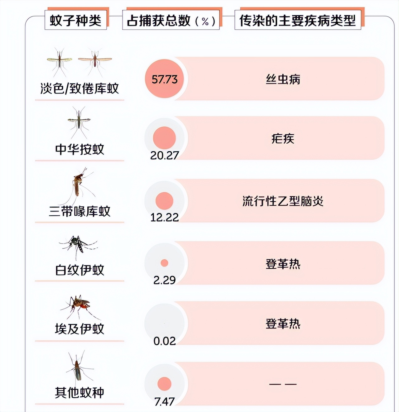 花蚊子为何令人们闻风丧胆,带毒的花蚊子从哪里来