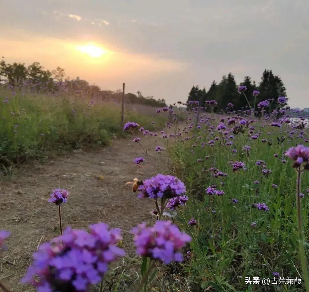 岁月匆匆流逝可曾为谁停留,时光何曾为谁逝岁月未曾为谁留