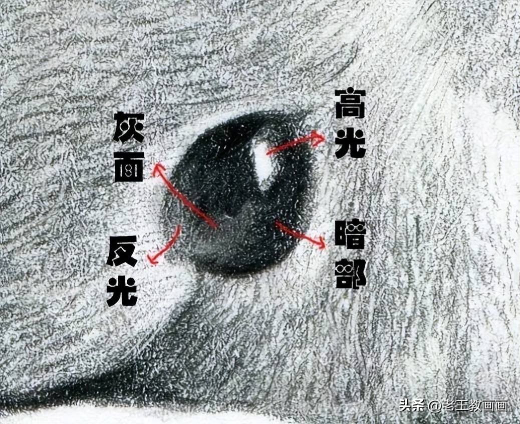 兔年怎么画一个好看的兔子,兔年到了怎么画一只兔子