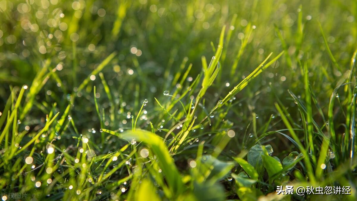 深观“平旦之气”——普通人离道境最近的地方