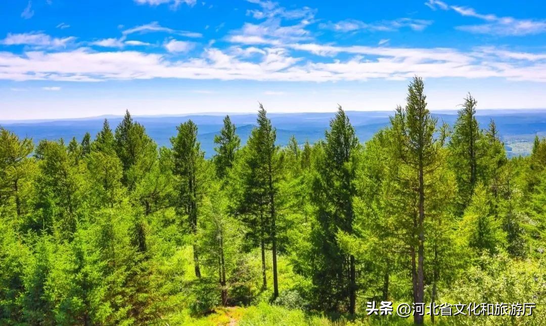 中国夏季避暑胜地排名前十,中国十大避暑胜地第一名你想不到