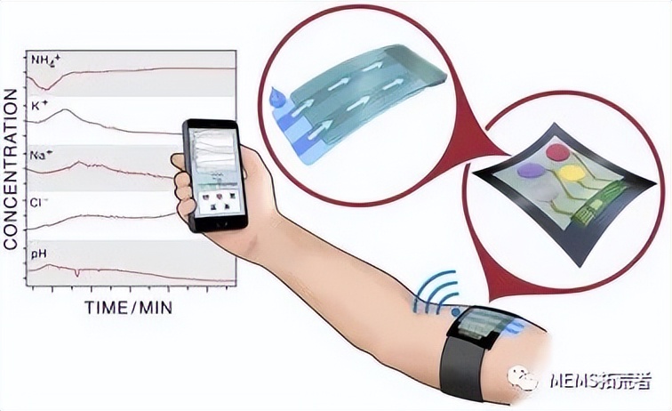 基于电位计的生物传感器进行生物标志物检测的研究进展（下篇）