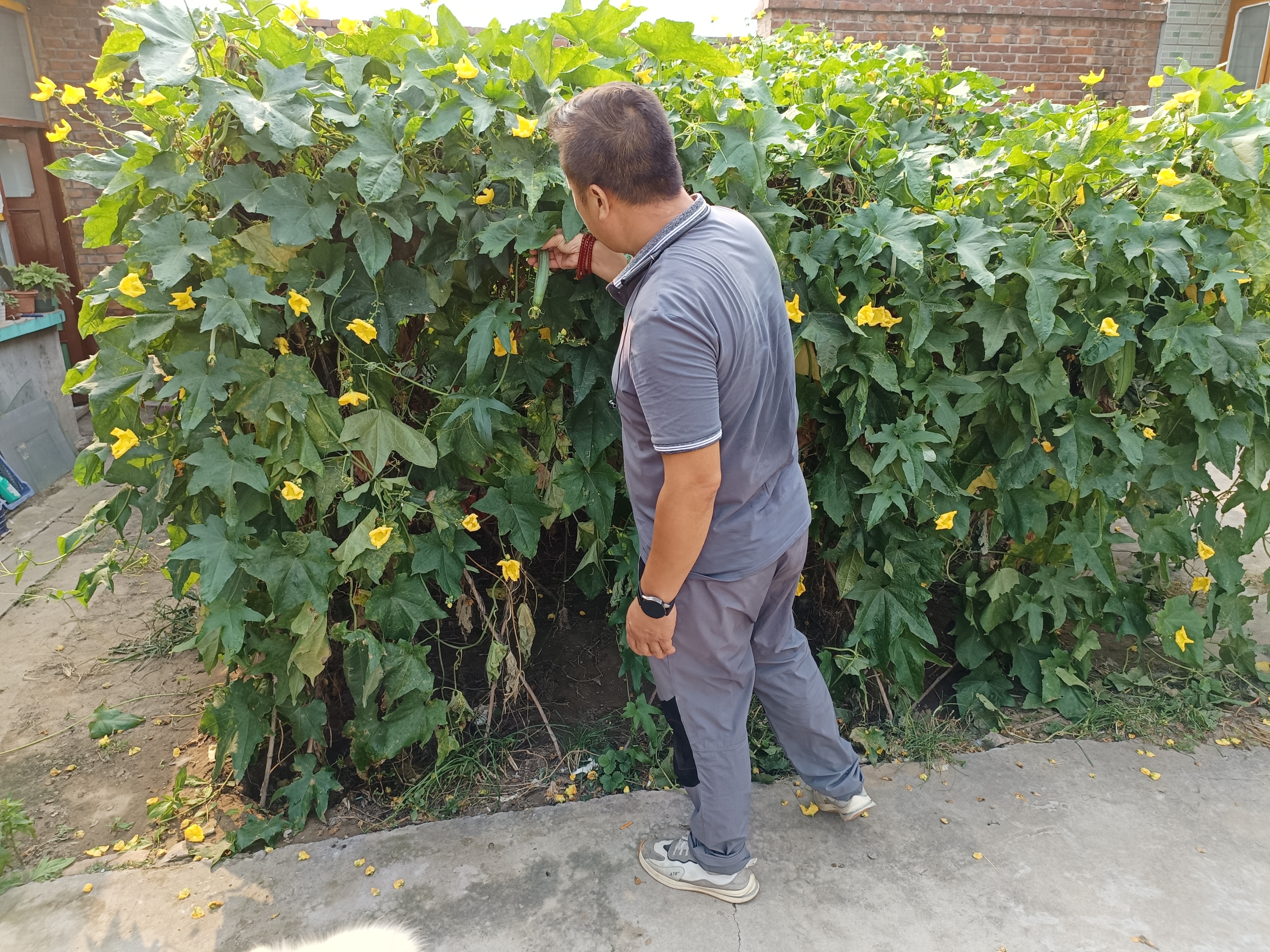 46岁前总经理找工作：差点被骗买房、误入传销，黄了5份工作，“只想找份工作，没想这么不靠谱”