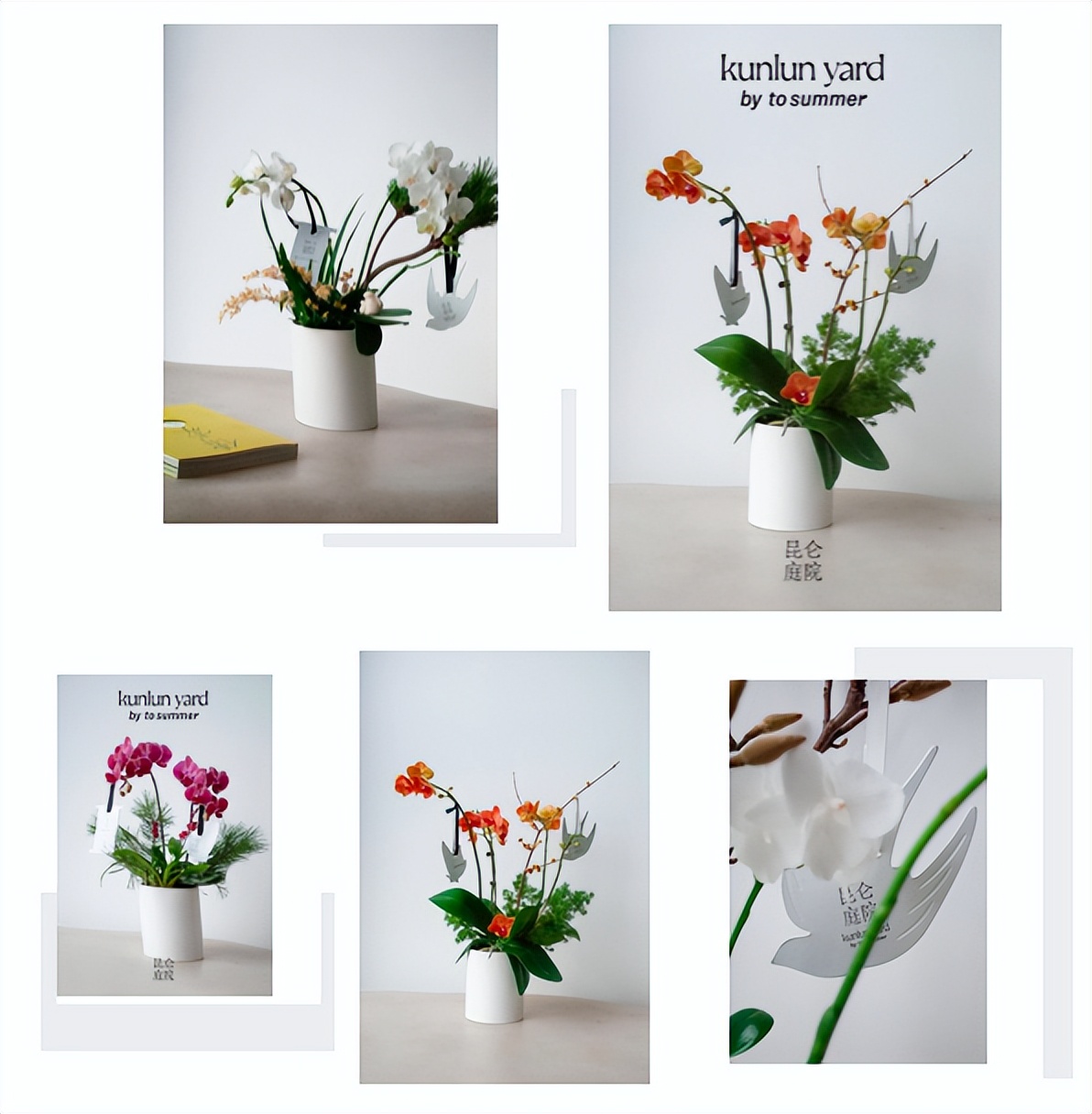 高甜预警七夕限定,高甜预警开启全新浪漫