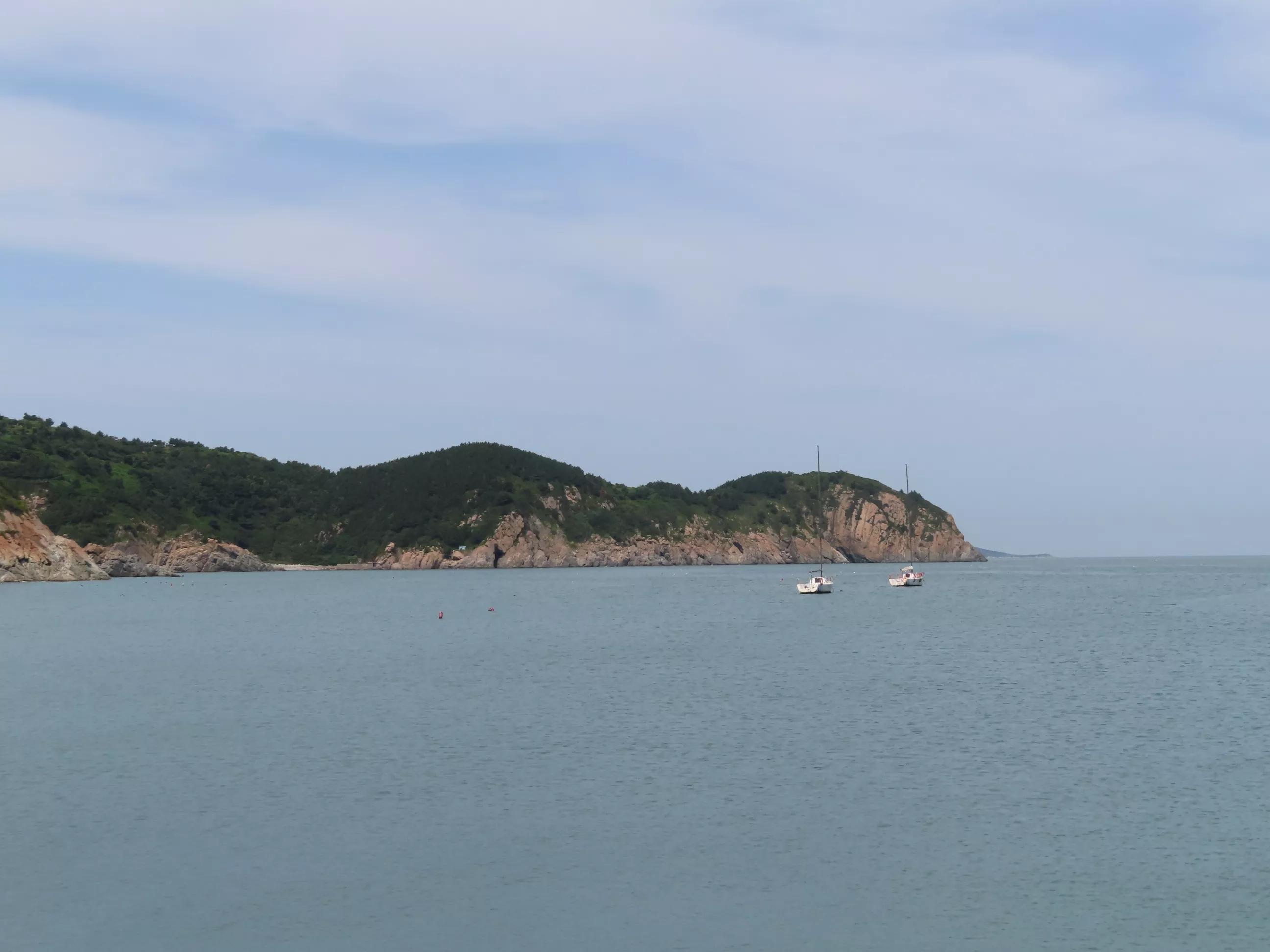 青岛的海,青岛的海鸥