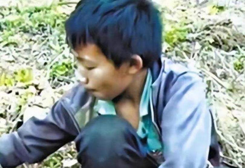孤儿杨六斤最近情况,广西孤儿杨六斤现状视频