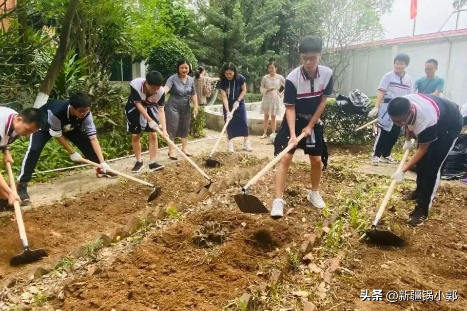 馋哭了的甜品,馋哭了特产美食