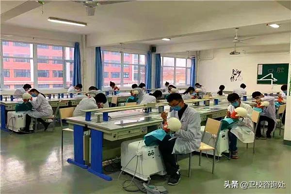 女生学医有哪些专业更适合呢,女孩学医就业前景怎么样