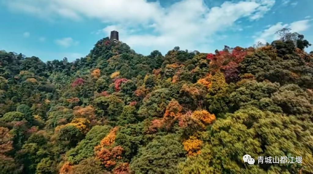 抓住秋天的尾巴！都江堰必打卡的8大晚秋好去处，步青山观烟岚云岫、入古城拾千年烟火，来过都会爱上