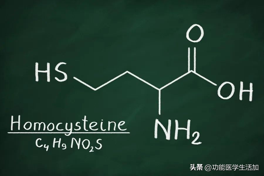 备孕需要提前吃叶酸吗,备孕必须提前三个月吃叶酸吗