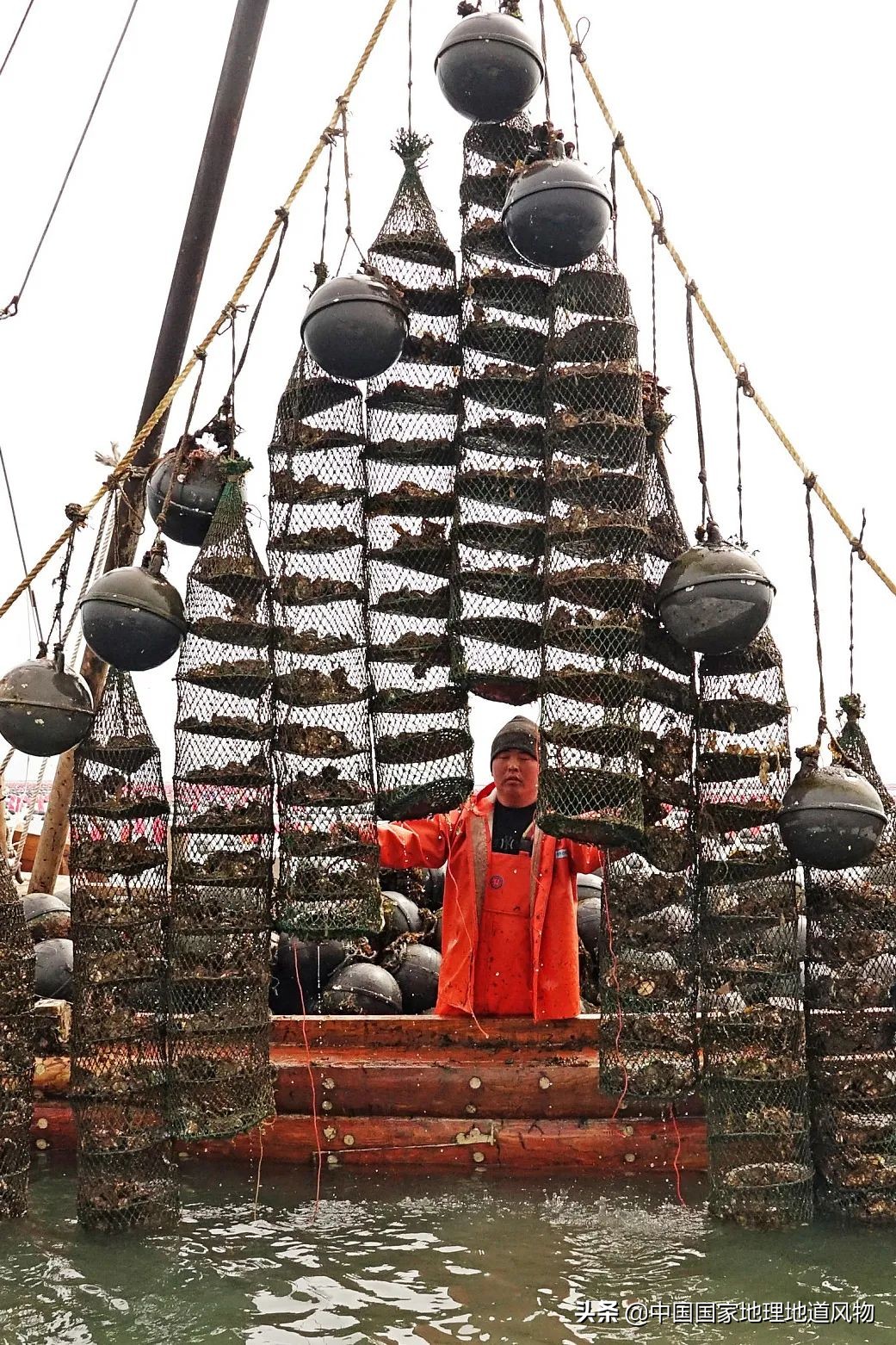 辽宁哪个地方的海鲜最好,辽宁各市都有啥海鲜