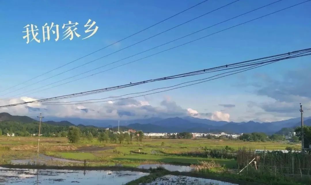 中国流浪女在新西兰,中国姑娘在新西兰街头流浪