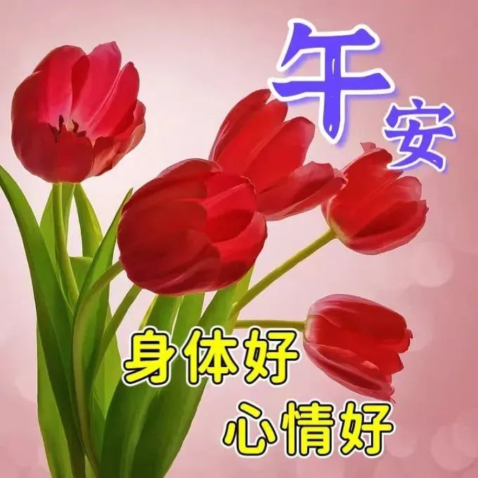 周一早安最暖心的祝福图片图文,最新周一早上好祝福图片